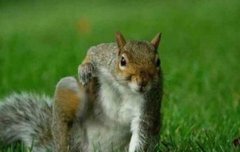 연두콩 범규를 보라...!