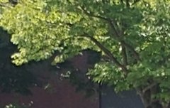 드라마 촬영중인 이대휘