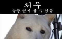 처우 읽은 사람 있어?