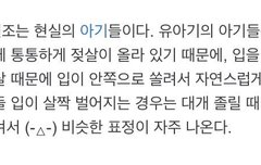 남도현 특징아님?