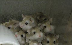 엑스원 각각 비쥬얼 특징? 써봄