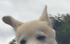 얘들아 도수풀 휴재래....