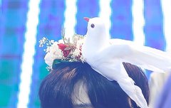 이번 팬싸 요한이 너무 귀여워....