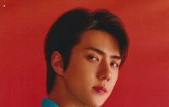 SC굿즈 SD 스캔본