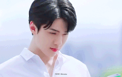 타오케노이 cf 움짤