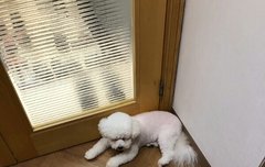 191001 고독한 세훈방 사진 모음2