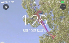 조승연 이사진 원본좀 찾아주라ㅜㅜ