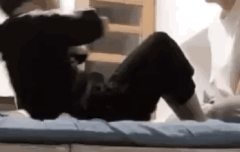 우리도 vs 추반하자!