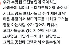 웹툰 좀 찾아줘ㅠㅠ!