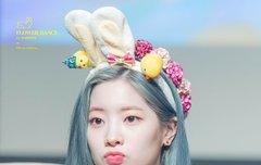 타팬인데 뭐좀 알려주랑