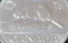 사담)돼지야 고생했다