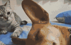 소설 읽을 때 이런 거 있는 사람?