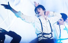 나른하고 우아하다