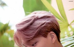 갤러리 정리 중