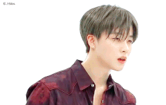 금볶뿌 핑뿌 사진 풀어주라