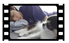 현진이x까미 케미 보는 날