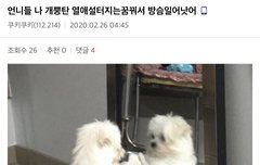 너네는 이 키워드가 없으면 벨 못본다 하는 키워드 있음?