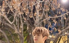 학교종이 땡땡땡 댕댕이 왔따