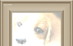 사담)강아지를게임에서만키워봐서