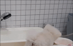 mbti별 절교할 때의 반응