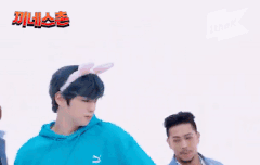 토끼인척하는 녤모예드ㅋㅋㅋㅋㅋㅋ