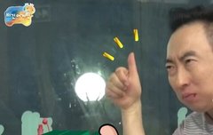 mbti별 반항하는 이유