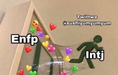 Infj / isfp있냥