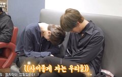 얘네 왜 이러고 자는거야?ㅋㅋㅋ