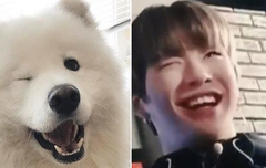 딱 봐도 같은 새럼