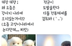 대쟝 대쟝! 왜 요즘은 강어지 나라에 오지 않는거야?