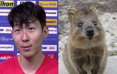 흥미니 방있는거 처음 알았다