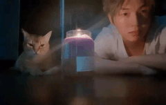 [daniel.k.here] small campfire