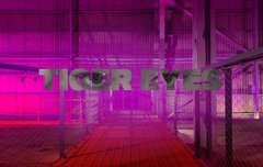 수정이 솔로 대박 기원 5일차