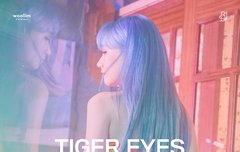 ㅁㅊㄷ ㅁㅊㅇ 파란머리