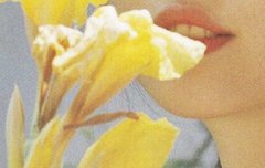 +)애드라 배경화면 만들어왔던 타팬임