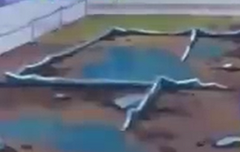 첸과함께하고싶지않습니다