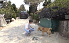 영인다가 제일 재밌을 줄 알았는데