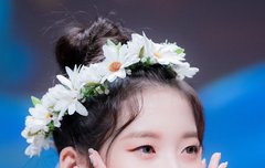 판에 있는 미라클들아