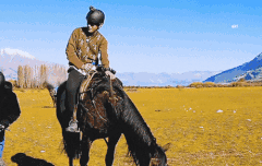 이거 진심 볼때마다 개귀여워서 미치겠음