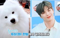 강다니엘 방송 나갈때마다 멈무인증 받아오네