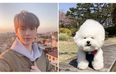 멈무 머리눌렸대 (υ·•︠ܫ•︡ υ)