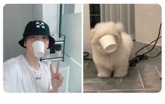 이런짤은 대체 어디서 찾아오는건지ㅋㅋㅋㅋㅋㅋㅋ