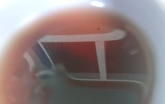 아이스티 조카 맛없게 생김