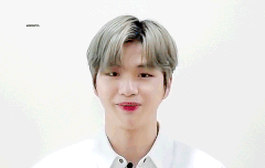 강다니엘 케이콘 날짜 나왔어 ٩(·•︠ᴗ•︡ )۶