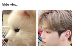 강다니엘 옆모습ㅋㅋㅋㅋㅋㅋㅋㅋㅋㅋㅋㅋㅋㅋ