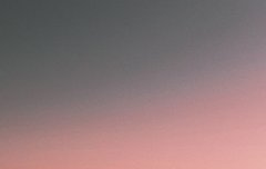 앓다 죽을 미친여름