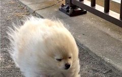 근데 버블 말이야!