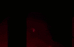 비쥔) 얼굴합 최고인 씨피