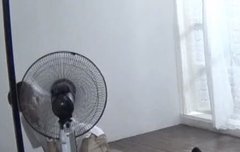 ㄱㅁ 사진찍을때