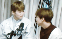 이것 좀 봐줘,,, 맠동 해라 얘들아